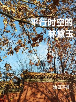 平行时空的林黛玉平行时空的林黛玉
